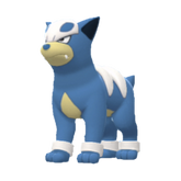 Buy Houndour in Brilliant Diamond & Shining Pearl